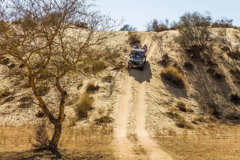 Trip to the Thar Desert by Jeep