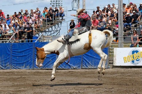 Rodeo competition
