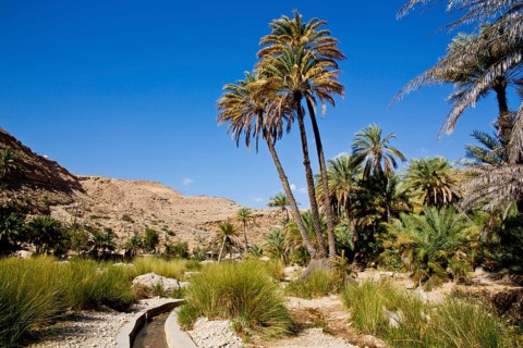 Irrigation Canal
