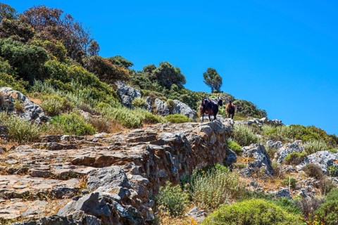 Hike to the Bear Cave overlooking the Mediterranean Sea