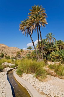 Irrigation Canal