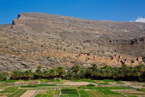 Oasis on the mountain massif of Jabal Akhdar