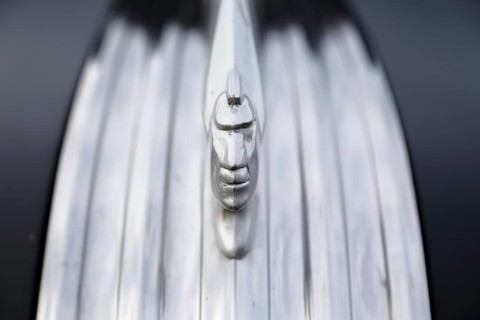 Hood emblem
