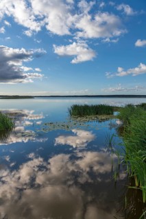 Reeds on the shore of Filso with reflection of the clouds in the morning calm