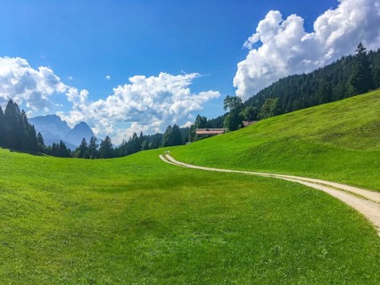 Path through alpine meadow to the Gschwandtnerbauer mountain restaurant