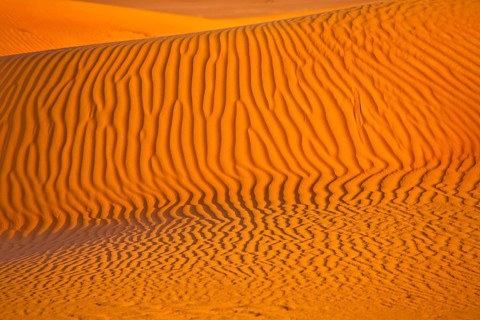 Sand Dunes