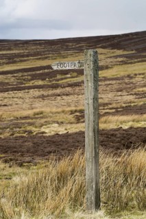 Lichen covered footpath sign on heather moorland