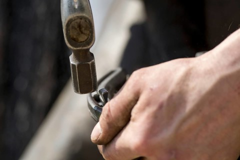 Farrier cold shoeing a horse. North Yorkshire