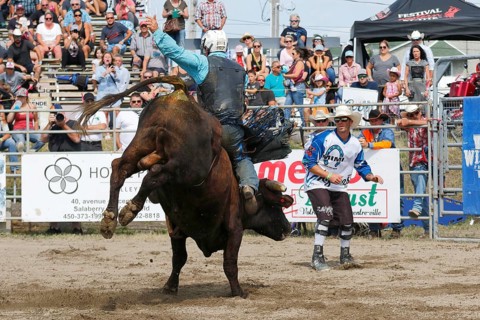 Rodeo