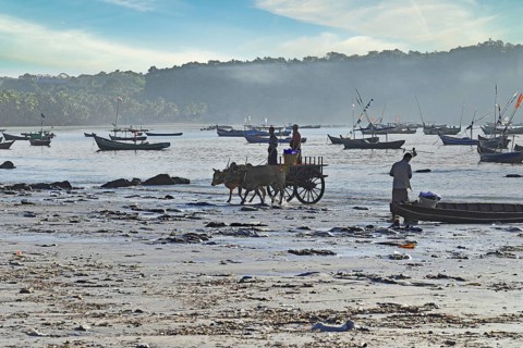 Harbour