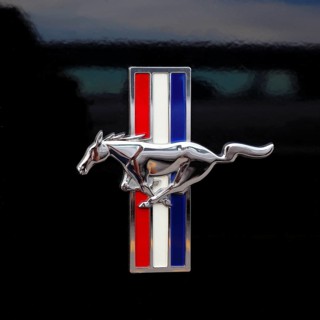 Car emblem