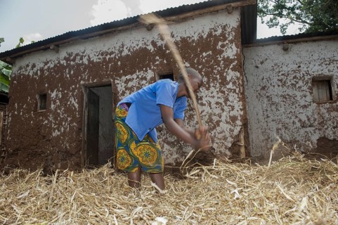 Children threshing crop of beans with sticks
