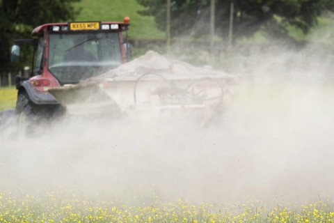 Spreading lime on an Dales dillower meadow to increase the soils fertility. Yorkshire Dales