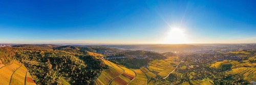 Panoramic view of vineyards near Stuttgart-Rotenberg