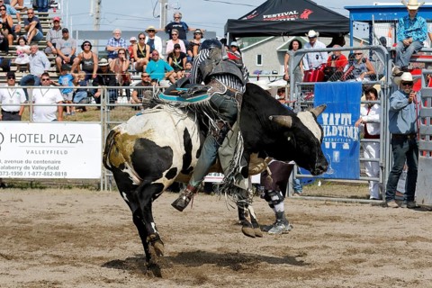 Rodeo