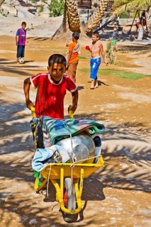 Transporting picnic utensils by wheelbarrow