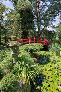 Japanese Garden with Stone Lantern