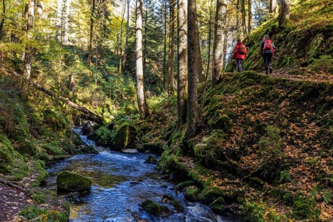 Hikers in the Ravenna Gorge