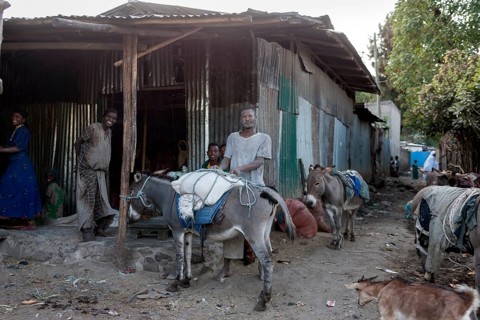 Donkey packing station