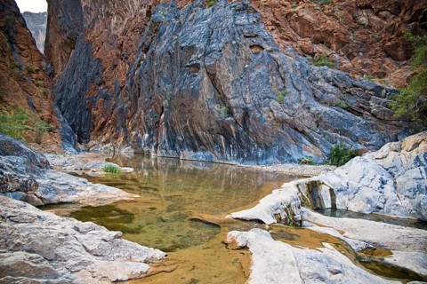 Oasis