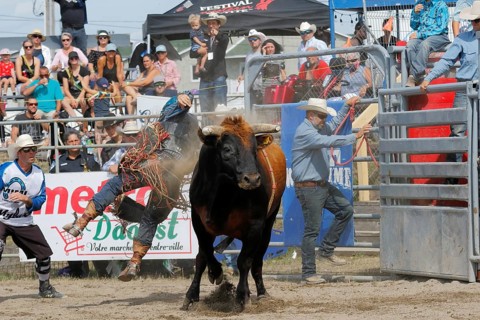 Rodeo