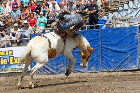 Rodeo competition