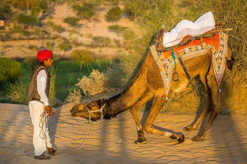 Horseback riding on dromedaries