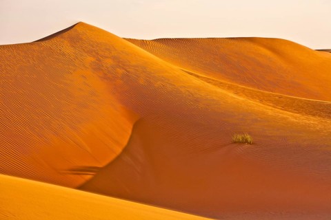 Sand Dunes