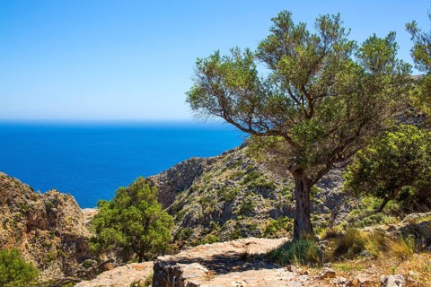 Hike to the Bear Cave overlooking the Mediterranean Sea