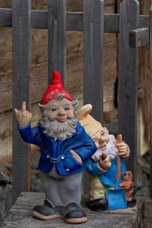 Garden gnome gives the finger