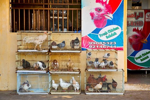 Meat Souk