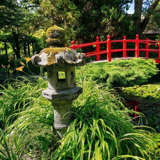 Japanese Garden with Stone Lantern and Red Bridge