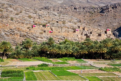Oasis on the mountain massif of Jabal Akhdar