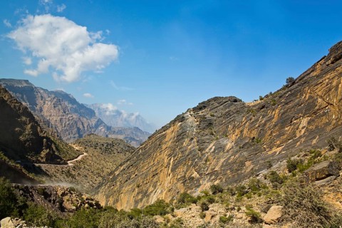 Winding Mountain Roads