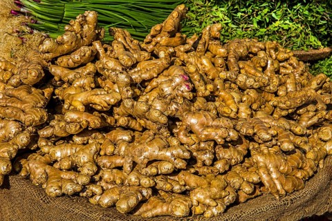 Ginger