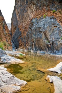 Oasis