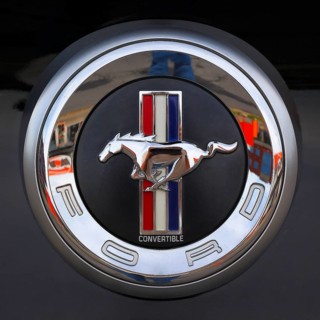 Car emblem