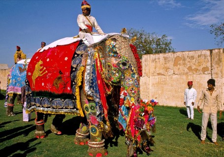 Festive parades with camels and elephants