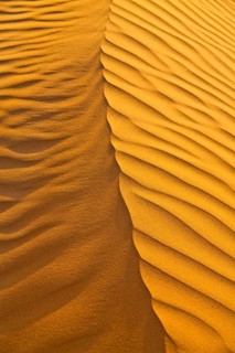 Sand Dunes