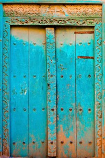 Door