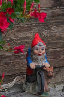 Garden gnome with dog on bicycle
