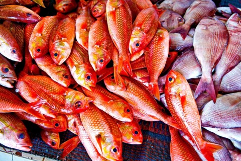 Mutrah Fish Market