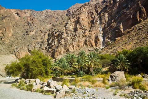 Oasis