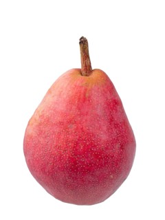 Pear variety Williams Christ red