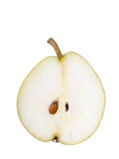 Pear variety Sechelsbirne
