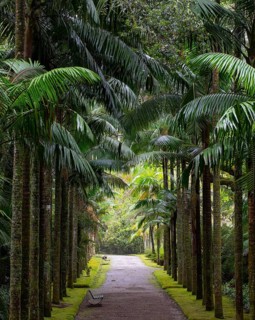 Botanical Garden