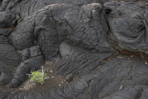 pahoehoe