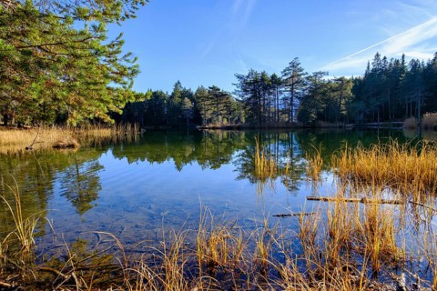 Moeserer See