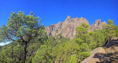 Mirador del Lomo de Tagasaste