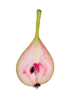 Pear variety Blood pear